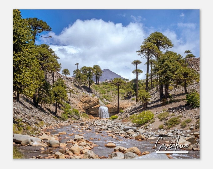 Caviahue Argentina Travel Poster Wall Art | Caviahue Town Home Decor | Caviahue Landscape Digital Print | Caviahue Horizontal Hangings Photo