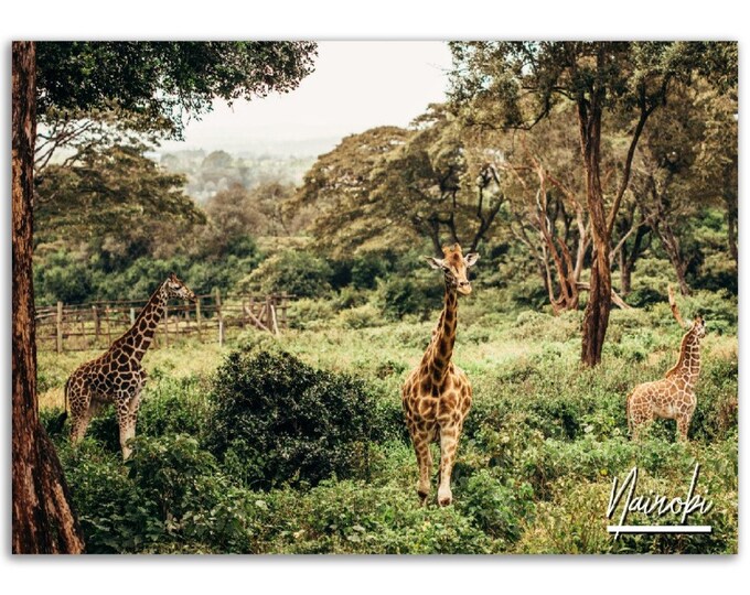 Nairobi Poster Print Wall Art | Nairobi Kenya Home Decor | Nairobi Print Collectible | Nairobi Horizontal | Nairobi Hangings Travel Photo