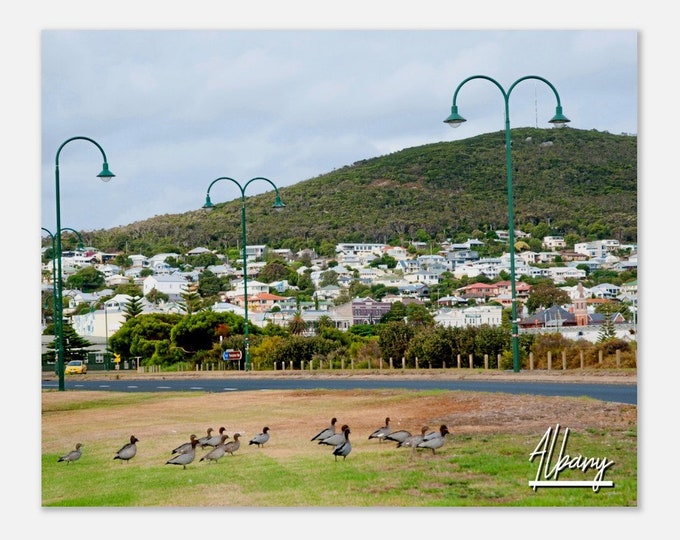 Albany Australia Travel Poster Wall Art | Albany Mountain Home Decor | Albany Skyline Town Digital Print | Albany Birds Hangings Photo Gift