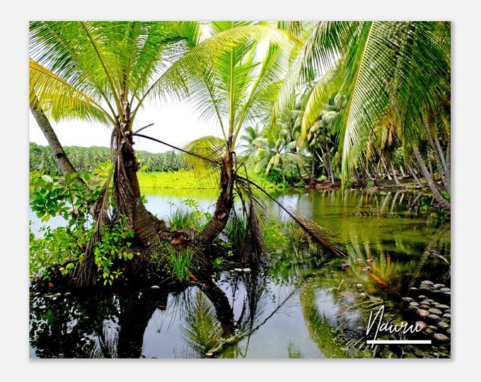 Nauru Oceania Poster Wall Art Home Decor | Nauru Buada Lagoon Digital Print | Nauru Palm Trees Horizontal | Nauru Hangings Travel Photo Gift