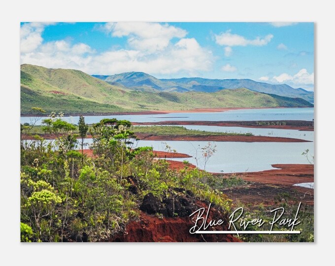Blue River Park New Caledonia Travel Poster Wall Art | Blue River Park Home Decor National Park Print | Blue River Park Landscape Photo Gift