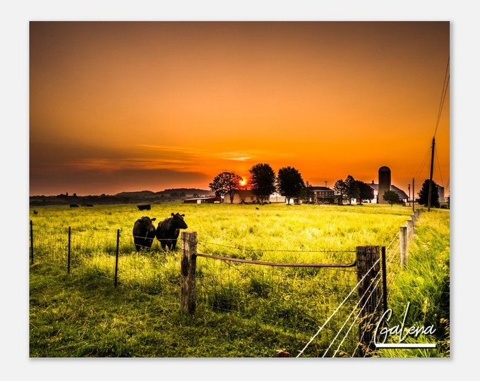Galena Field Countryside Poster Print Illinois Wall Art | Galena Farm Home Farmhouse Decor Print | Galena IL Hangings Travel Photo Present