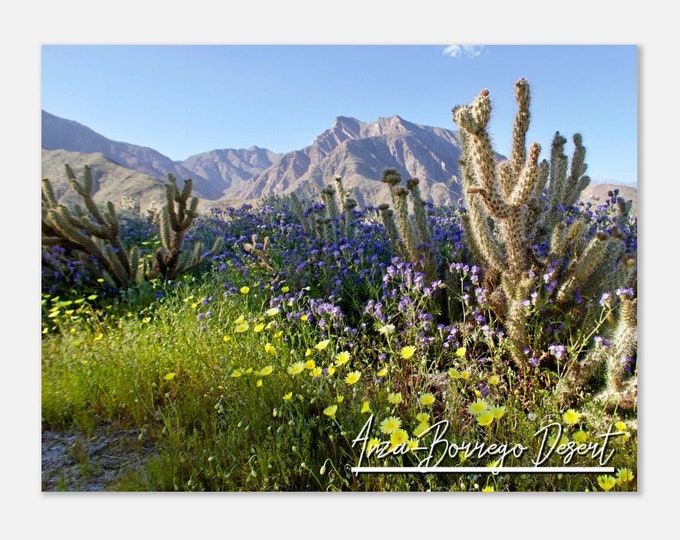 Anza-Borrego Desert Poster Print Wall Art | California Desert Home Decor Gift Hangings | Desert Prints Collectibles Horizontal Travel Photo