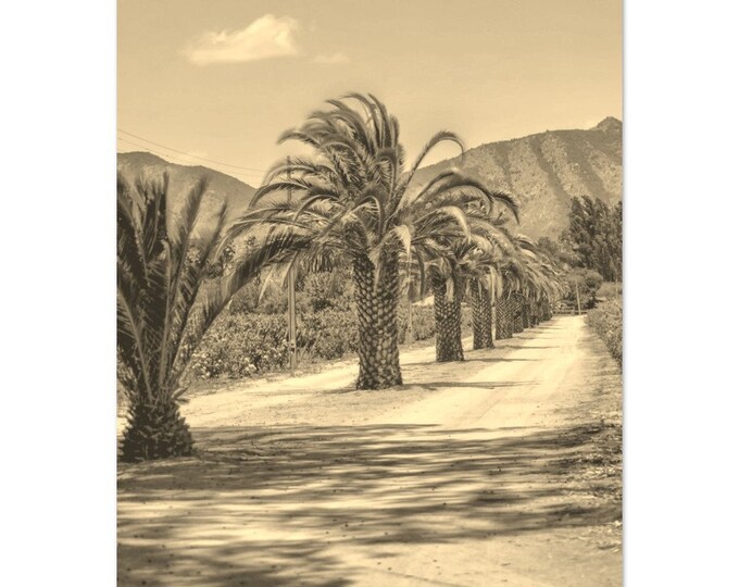 Vintage Valparaiso Chile Travel Poster Print Wall Art | Retro Valparaiso Home Decor | Valparaiso Print Vertical | Valparaiso Sepia Photo