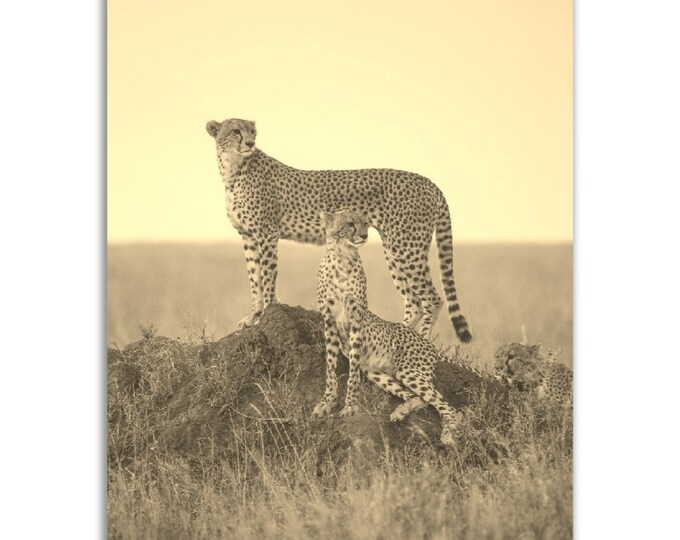 Arusha Tanzania Poster Vintage Cheetah Print | Retro Safari Sepia Photo Gift | Arusha Wall Art Home Decor | Vertical Arusha Travel Souvenir