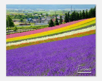 Furano Japan Poster Print Wall Art | Furano Home Decor | Lavender Print | Furano Flowers Field Horizontal | Furano Hangings Travel Photo