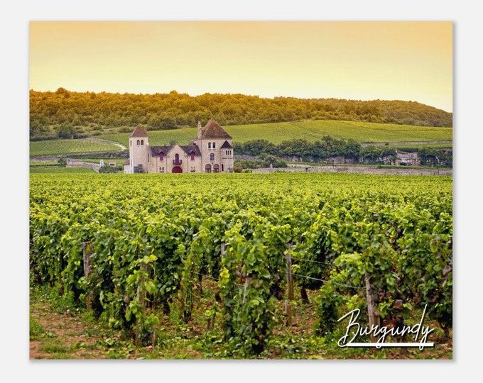 Burgundy France Travel Poster Wall Art | Burgundy Home Decor | Burgundy Chateau Vineyards Horizontal | Burgundy Landscape Hangings Photo