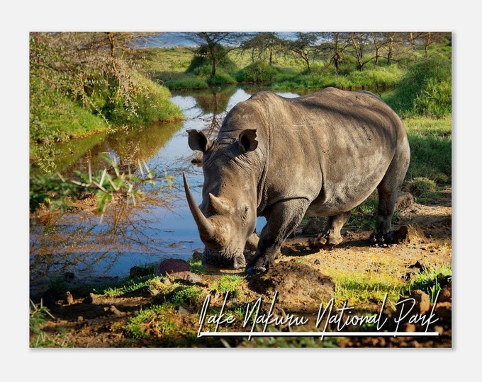 Lake Nakuru National Park Kenya Poster Wall Art | Lake Nakuru National Park Home Decor | Lake Nakuru National Park Hangings Travel Photo
