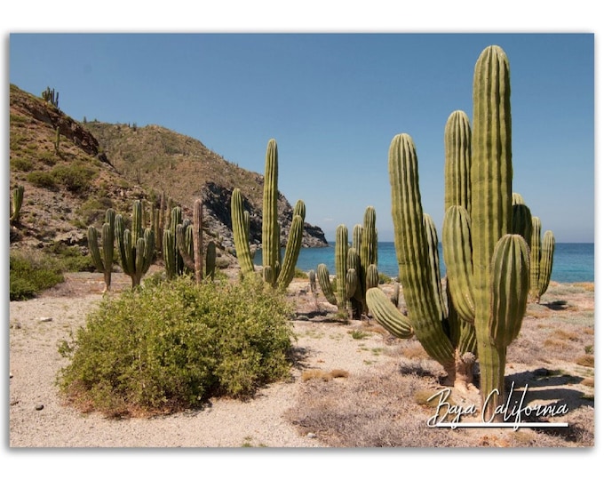 Baja California Poster Print Mexico Wall Art | Baja California Photo Home Decoration | Baja California Travel Gift | Horizontal Photography