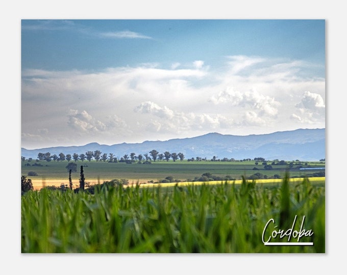 Córdoba Argentina Travel Poster Wall Art | Córdoba Home Decor | Córdoba Fields Digital Print | Córdoba Landscape | Córdoba Hangings Photo
