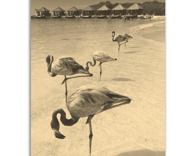 Vintage Aruba Poster Caribbean Print | Retro Beach Tropical Black White Sepia Photo Gift | Aruba Wall Art Home Decor | Vertical Aruba Poster