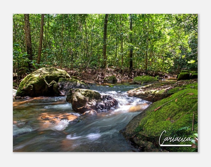 Cariacica Brazil Travel Poster Wall Art | Cariacica Nature Home Decor | Cariacica River Digital Print | Cariacica Forest Hangings Photo Gift