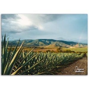 Oaxaca Poster Print Wall Art | Oaxaca Mexico Photo Home Decoration | Oaxaca Traveler Christmas Birthday Gift | Oaxaca Horizontal Photography