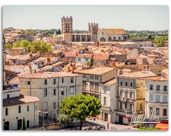 May include: An aerial view of the city of Montpellier, France, with the Saint-Pierre Cathedral in the background. The city is full of old, stone buildings with red tile roofs. The city is surrounded by trees and greenery.