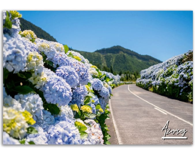 Azores Poster Print Wall Art | Azores Home Decor | Azores Digital Print Collectible | Azores Horizontal | Azores flower Hanging Travel Photo