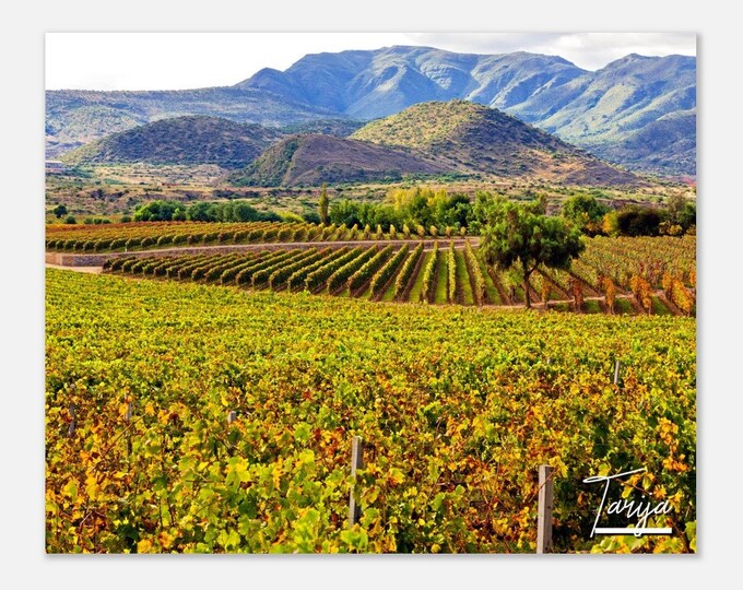 Tarija Bolivia Travel Poster Wall Art | Tarija Vineyards Home Decor | Tarija Landacape Print | Tarija Horizontal | Tarija Hangings Photo