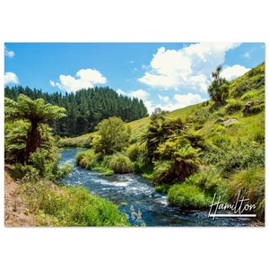 Hamilton New Zealand Poster Print Wall Art | Hamilton Home Decor | Hamilton Digital Print River Horizontal | Hamilton Hangings Travel Photo