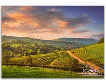 Piedmont Italy Poster: Countryside Vineyard Print