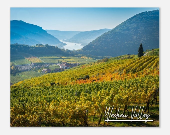 Wachau Valley Austria Travel Poster Wall Art | Wachau Valley Home Decor | Wachau Valley Vineyards Print | Wachau Valley Landscape Photo Gift