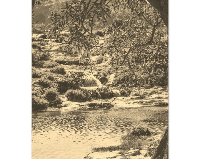 Vintage Salalah Oman Travel Poster Print Wall Art | Retro Salalah Home Decor | Salalah River Nature Print Vertical | Salalah Sepia Photo