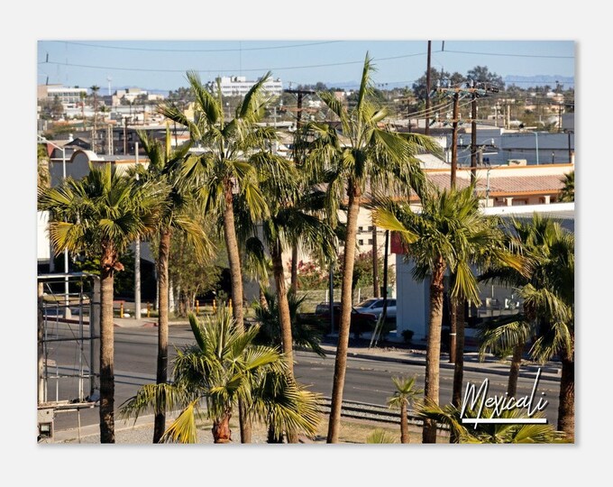 Mexicali Mexico Travel Poster Wall Art | Mexicali Downtown Home Decor | Mexicali Street Digital Print Horizontal | Mexicali Palm Trees Photo