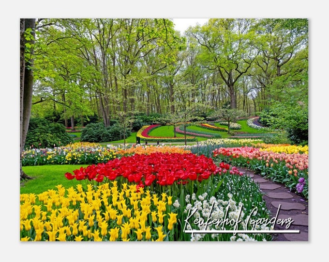Keukenhof Gardens Netherland Travel Poster Wall Art | Keukenhof Gardens Home Decor Print | Keukenhof Gardens Blooming Tulip Field Photo Gift