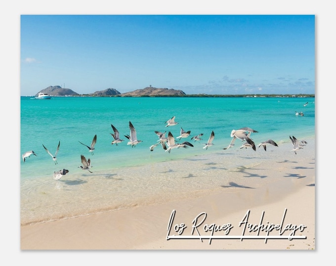 Los Roques Archipelago Venezuela Poster Print Wall Art | Los Roques Archipelago Home Decor | Los Roques Archipelago Hangings Travel Photo