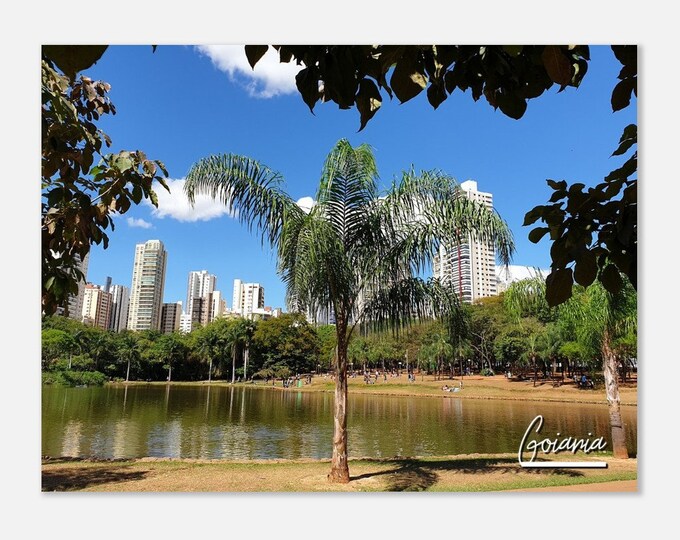 Goiania Brazil Print Wall Art | Goiania Home Decor | Goiania Garden Digital Poster | Goiania Skyscraper | Goiania Hangings Travel Photo Gift
