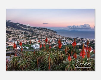 Barcelos Portugal Skyline Poster Print: Travel Home Decor