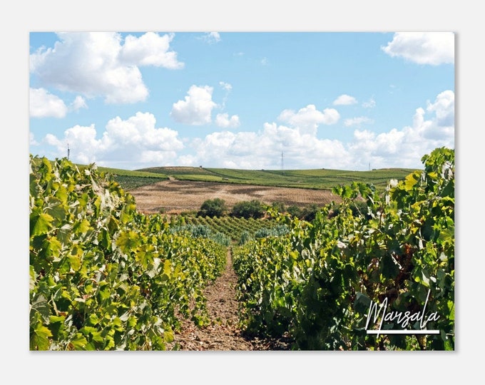 Marsala Italy Poster Print Wall Art | Marsala Vineyard Home Decor | Marsala Poster Print | Marsala Landscape Hangings Travel Photo Present