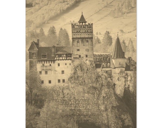 Vintage Targu Mures Romania Travel Poster Print Wall Art | Retro Targu Mures Home Decor Print | Targu Mures Print Castle Sepia Photo Present