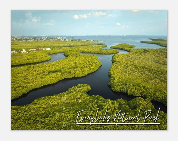 Everglades National Park Florida Poster Print Wall Art | Nature Home Decor Gift Hangings Florida FL Collectibles Horizontal Travel Photo