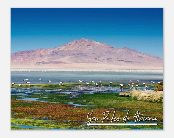 San Pedro de Atacama Chile Poster Print Wall Art | San Pedro de Atacama Home Decor | San Pedro de Atacama Hangings Travel Photo Present