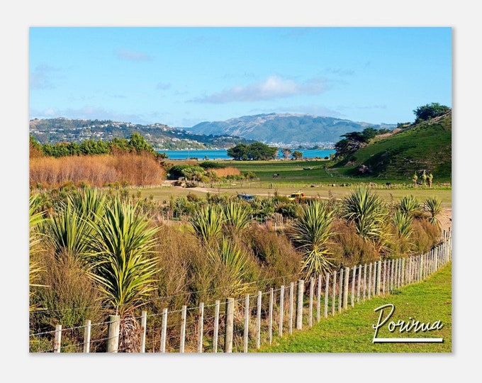 Porirua New Zealand Travel Poster Wall Art | Porirua Home Decor | Porirua Grassy Field Digital Print | Porirua Coast Hangings Photo Present