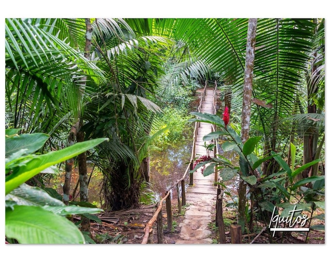 Iquitos Poster Print Peru Wall Art | Iquitos Photo Rainforest Jungle Home Decoration | Iquitos Travel Gift | Iquitos Horizontal Photography