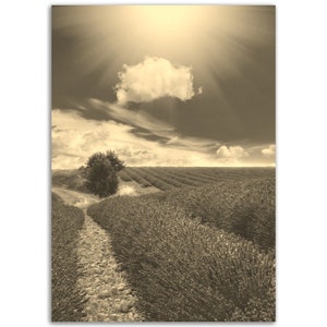 Vintage Provence Francia Poster Print / Retro Countryside Field Black White Sepia Photo Gift / Wall Art Home Decor / Vertical Provence Poster