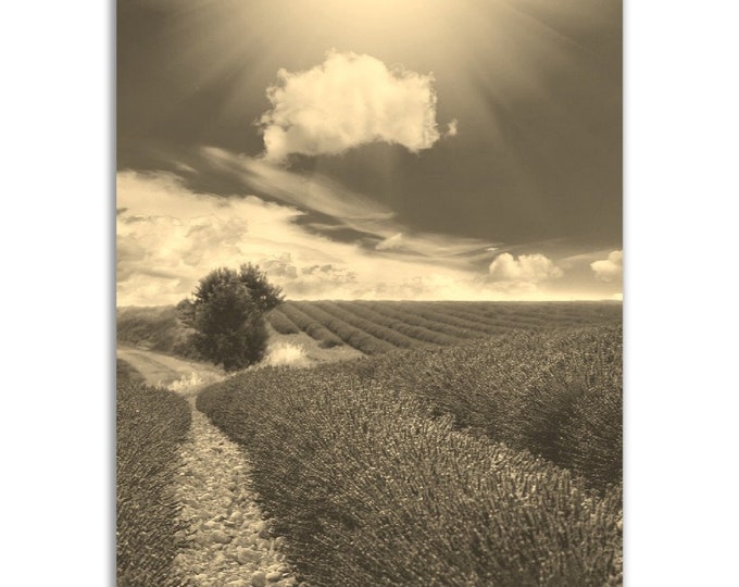Vintage Provence France Poster Print | Retro Countryside Field Black White Sepia Photo Gift | Wall Art Home Decor | Vertical Provence Poster