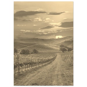 Vintage Bordeaux France Travel Poster Print Wall Art | Retro Bordeaux Sunset Vineyard Home Decor Landscape Print | Bordeaux Sepia Photo