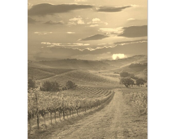 Vintage Bordeaux France Travel Poster Print Wall Art | Retro Bordeaux Sunset Vineyard Home Decor Landscape Print | Bordeaux Sepia Photo