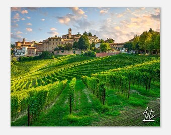 Asti Italy Print: Vineyard Landscape Travel Photo