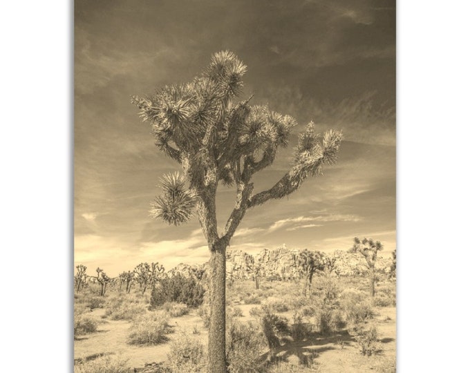 Palm Desert Poster California Vintage Print | Retro Palm Desert Sepia Photo Gift | Palm Desert Wall Art Home Decor | Vertical Vintage Print