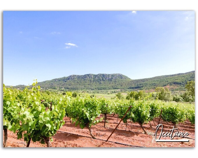 Occitanie France Poster Print Wall Art | Occitanie Countryside Field Home Decor Gift | Occitanie Digital Prints | Horizontal Travel Photo