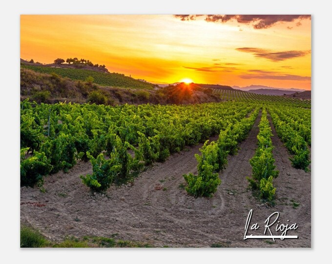 La Rioja Spain Travel Poster Wall Art | La Rioja Home Decor | La Rioja Vineyard at Sunset Print | La Rioja Horizontal | La Rioja  Photo Gift