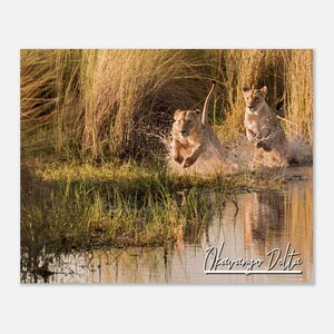 Okavango Delta Botswana Poster Wall Art  | Okavango Delta Home Decor | Okavango Delta Print Collectible | Okavango Delta Travel Photo