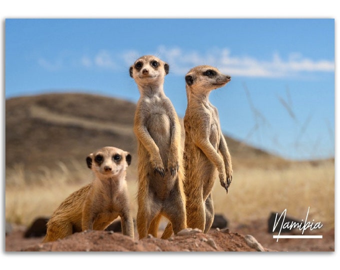 Mongoose Poster Namibia Print Wall Art | Namibia Desert Photo Animal Home Decoration | Namibia Travel Gift | Namibia Horizontal Photography