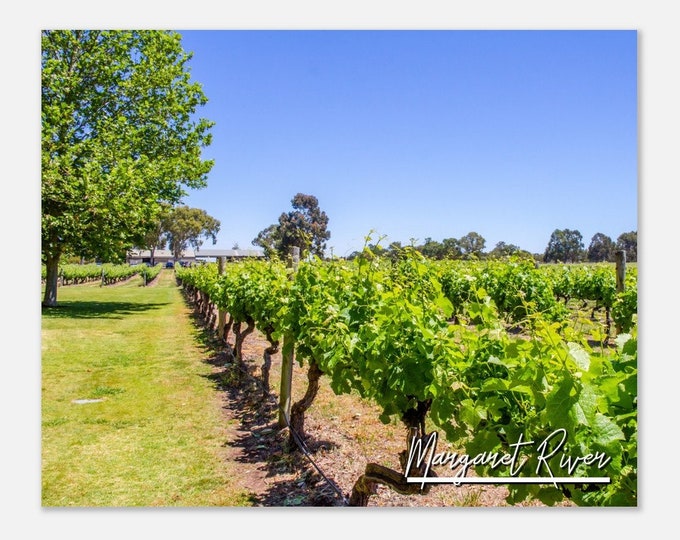 Margaret River Australia Travel Poster Wall Art | Margaret River Vineyard Home Decor Print | Margaret River Countryside Hangings Photo