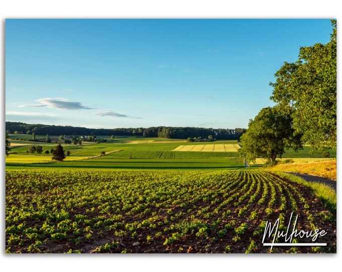 Mulhouse Poster Print Wall Art | Mulhouse Home Decor | Mulhouse Digital Print  | Mulhouse France Horizontal | Mulhouse Hangings Travel Photo