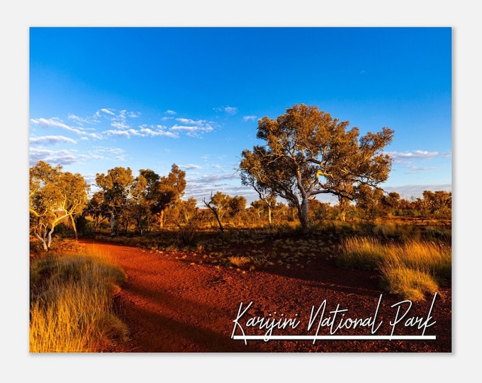 Karijini National Park Australia Travel Poster Wall Art | Karijini Red Rocks National Park Home Decor | Karijini Distinctive Tree Photo