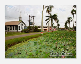 Nieuw-Nickerie  Suriname Travel Poster Wall Art | Nieuw-Nickerie Pond Home Decor Holy Lotus Flowers Print | Nieuw-Nickerie Horizontal Photo