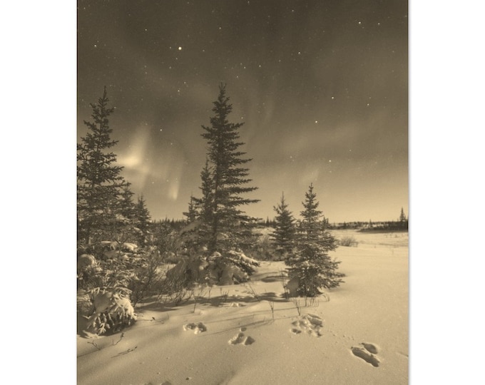 Vintage Churchill Canada Winter Travel Poster Print Wall Art | Retro Churchill Landscape Home Decor Print Vertical | Churchill Sepia Photo